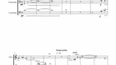 Partitura para orquesta de cuerda II - Nivel de dificultad: medio