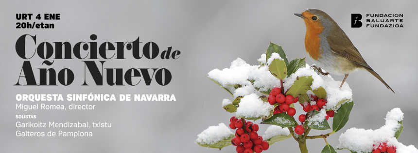 Concierto de Año Nuevo – Valses, polcas, jotas, zortzikos y zarzuelas | Orquesta Sinfónica de Navarra Concierto de Año Nuevo – Valses, polcas, jotas, zortzikos y zarzuelas | Orquesta Sinfónica de Navarra
