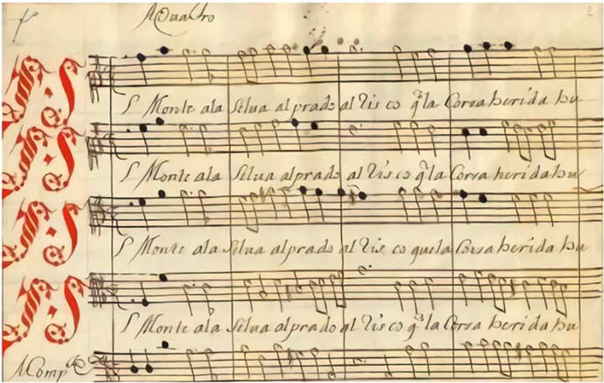 Pórtico de Zamora 2018 | El «Piacere» de la medicina musical en la XVIº edición