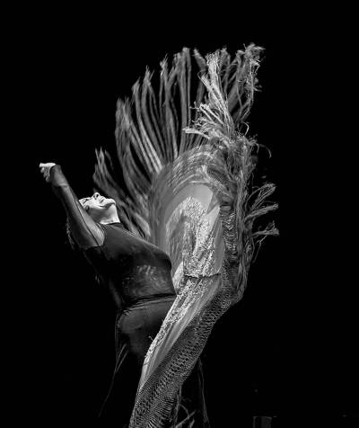 Festival Flamenco On Fire 2018 – Nueva edición del famoso festival de flamenco