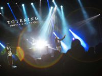 137_ToteKing_PirineosSur-min