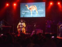 pirineos-sur_DSC7438-min