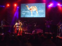 pirineos-sur_DSC7448-min