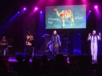 pirineos-sur_DSC7702-min