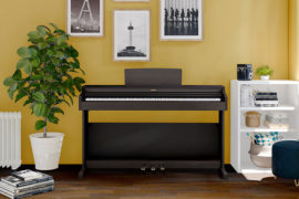 YDP-164_keyvisual_r_2-min