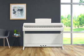 YDP-164_keyvisual_wh_2-min