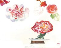 Flor de la camelia – Santi Moix