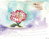 Flor de la camelia – Santi Moix