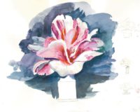 Flor de la camelia – Santi Moix