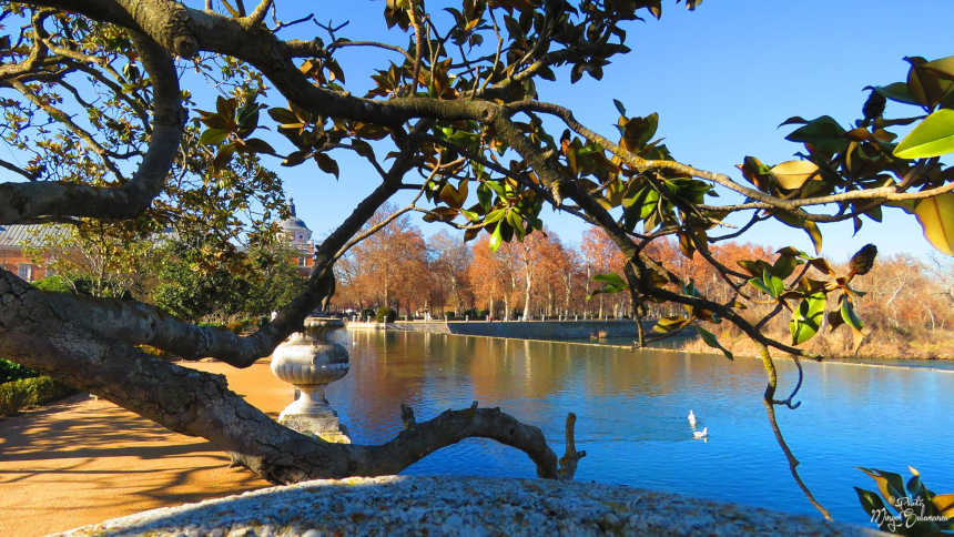 La excepcional violinista Lina Tur Bonet y Música Alchemica en el Festival de Música Antigua de Aranjuez