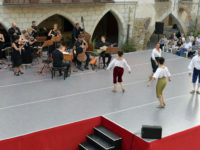 Ingràvida floració – © Jordi Mestre