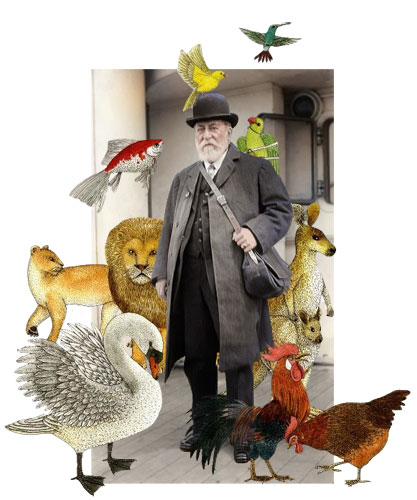 Audición Comentada Online – Carnaval de los Animales de Camille Saint-Saëns