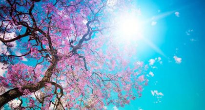 Audición comentada - Primavera, de Vivaldi