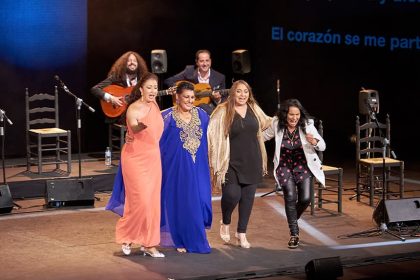 Flamenco Madrid – Remedios Amaya