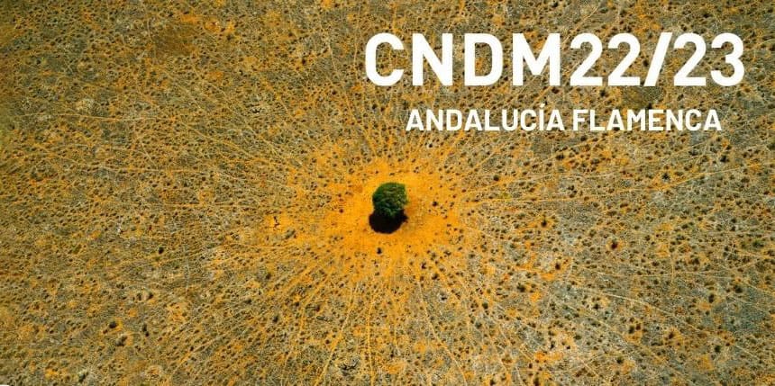 El Centro Nacional de Difusión Musical e Instituto Andaluz del Flamenco presentan nueva edición de Andalucía Flamenca