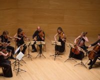 Trayectoria de Musethica