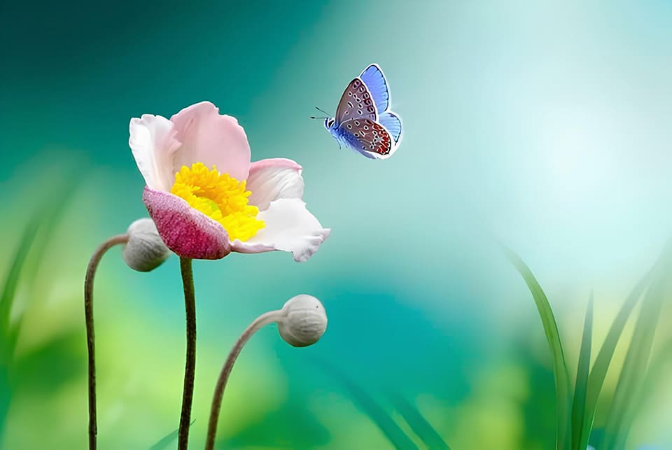 Audición comentada de *La Primavera* de Vivaldi, con análisis musical detallado que enriquece la comprensión de esta obra maestra del Barroco.