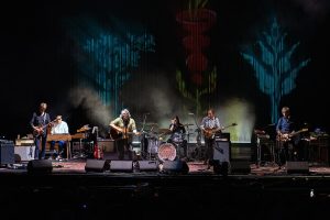 Wilko en Starlite Occident