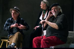 La rosa del azafrán