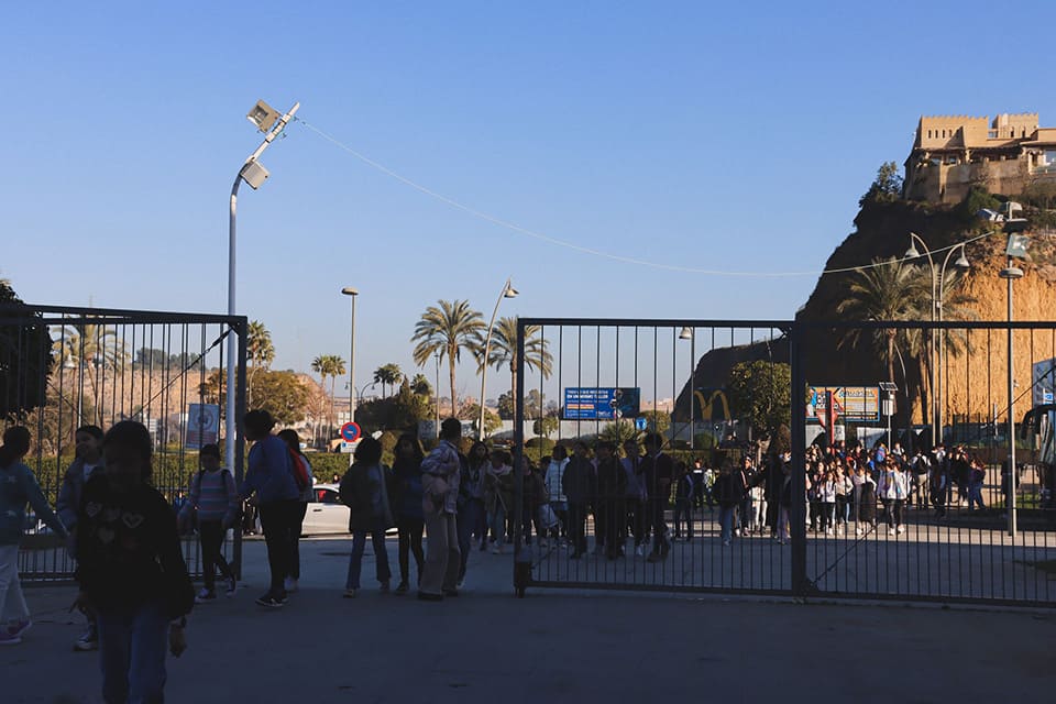 La ROSS finaliza su Ciclo de Conciertos para Escolares con «El pájaro de fuego» de Igor Stravinski