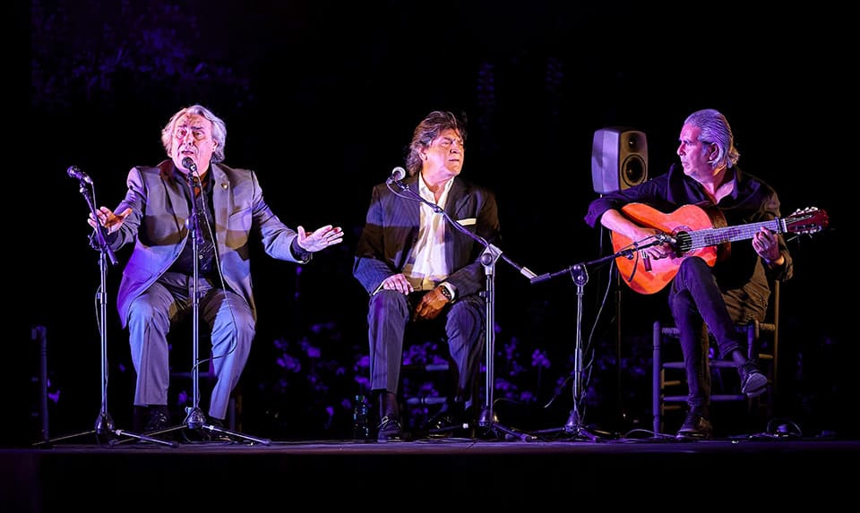 Les Arts clausura su ciclo flamenco con el cante puro de José de la Tomasa
