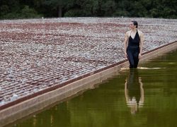 Le Terroir en Peralada