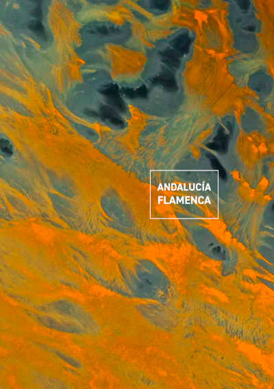 Anabel Valencia inaugura el ciclo Andalucía Flamenca del CNDM y la Agencia Andaluza de Instituciones Culturales