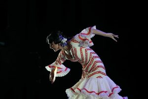 Gala final XXIV CNAF