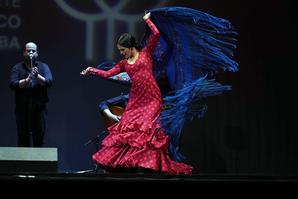 El Concurso Nacional de Arte Flamenco anuncia los finalistas de su XXIV edición del CNAF