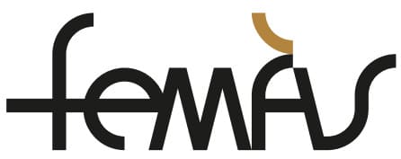 El FeMÀS brinda a mil escolares de Sevilla una experiencia musical única, explorando el barroco a través de seis centros educativos.