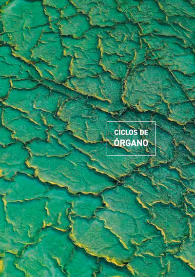 Anna Lapwood, fenómeno global del órgano en redes sociales, llega por primera vez al ciclo Bach Vermut del CNDM