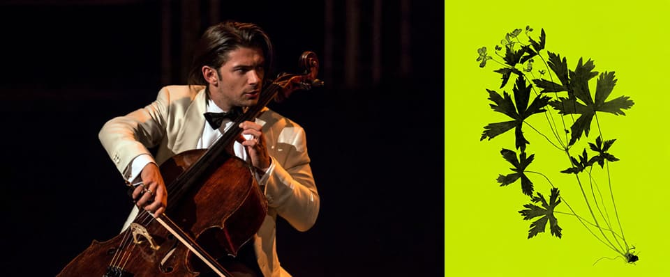 La Staatskapelle Dresden regresa a Ibermúsica con Gautier Capuçon y el Orfeó Català La Staatskapelle Dresden regresa a Ibermúsica con Gautier Capuçon y el Orfeó Català