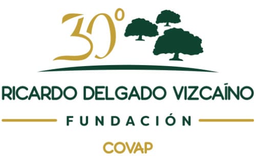 La Fundación Ricardo Delgado Vizcaíno recupera el Concurso Internacional de Música de Cámara Guadamora