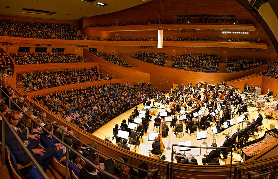 ¿Por qué una orquesta necesita director? ¿Por qué una orquesta necesita director?