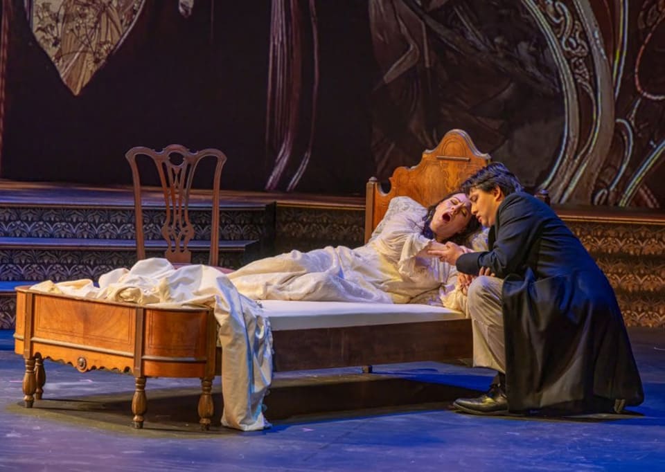 ¿De qué trata La traviata? ¿De qué trata La traviata?