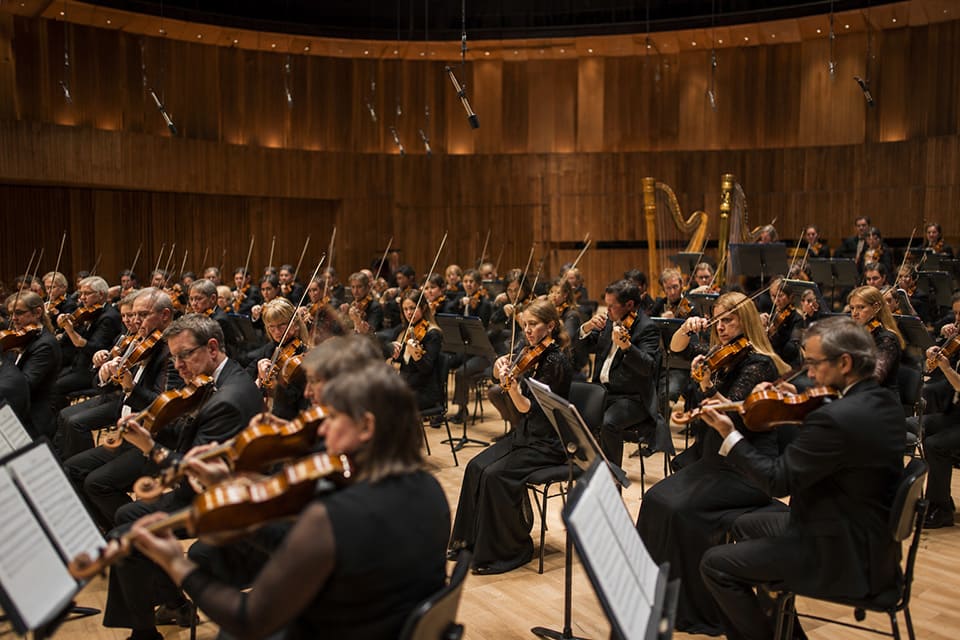 ¿Por qué hay tantos violines en una orquesta? ¿Por qué hay tantos violines en una orquesta?