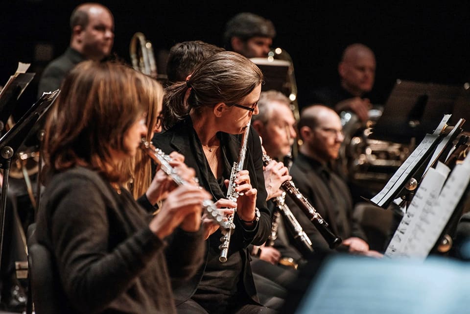 ¿Por qué hay tantos violines en una orquesta? ¿Por qué hay tantos violines en una orquesta?
