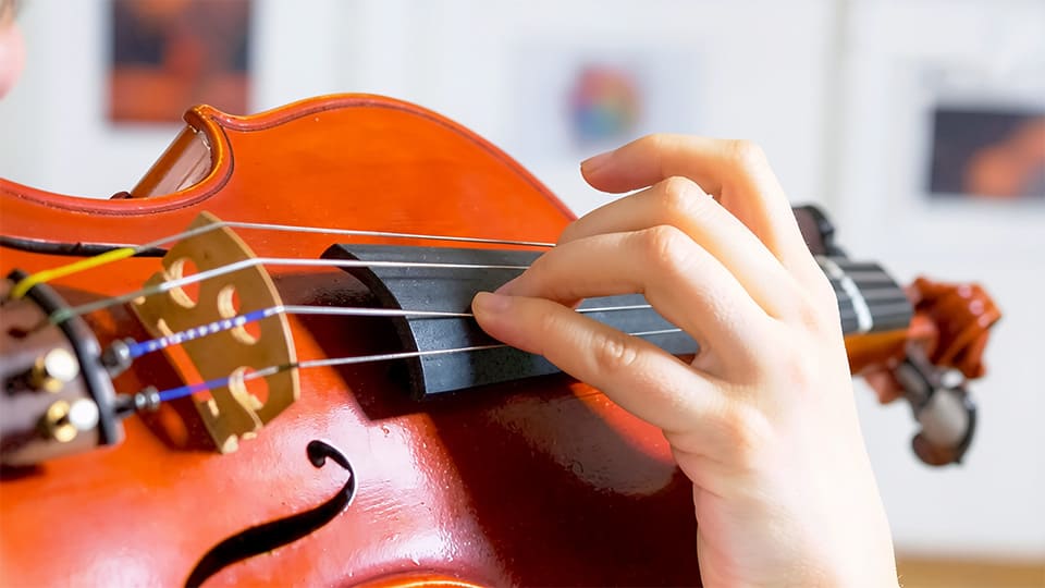 ¿Por qué el violín no tiene trastes? ¿Por qué el violín no tiene trastes?