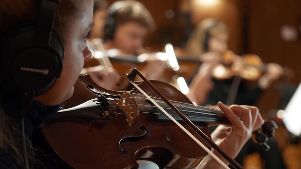 ¿Por qué el violín no tiene trastes? ¿Por qué el violín no tiene trastes?